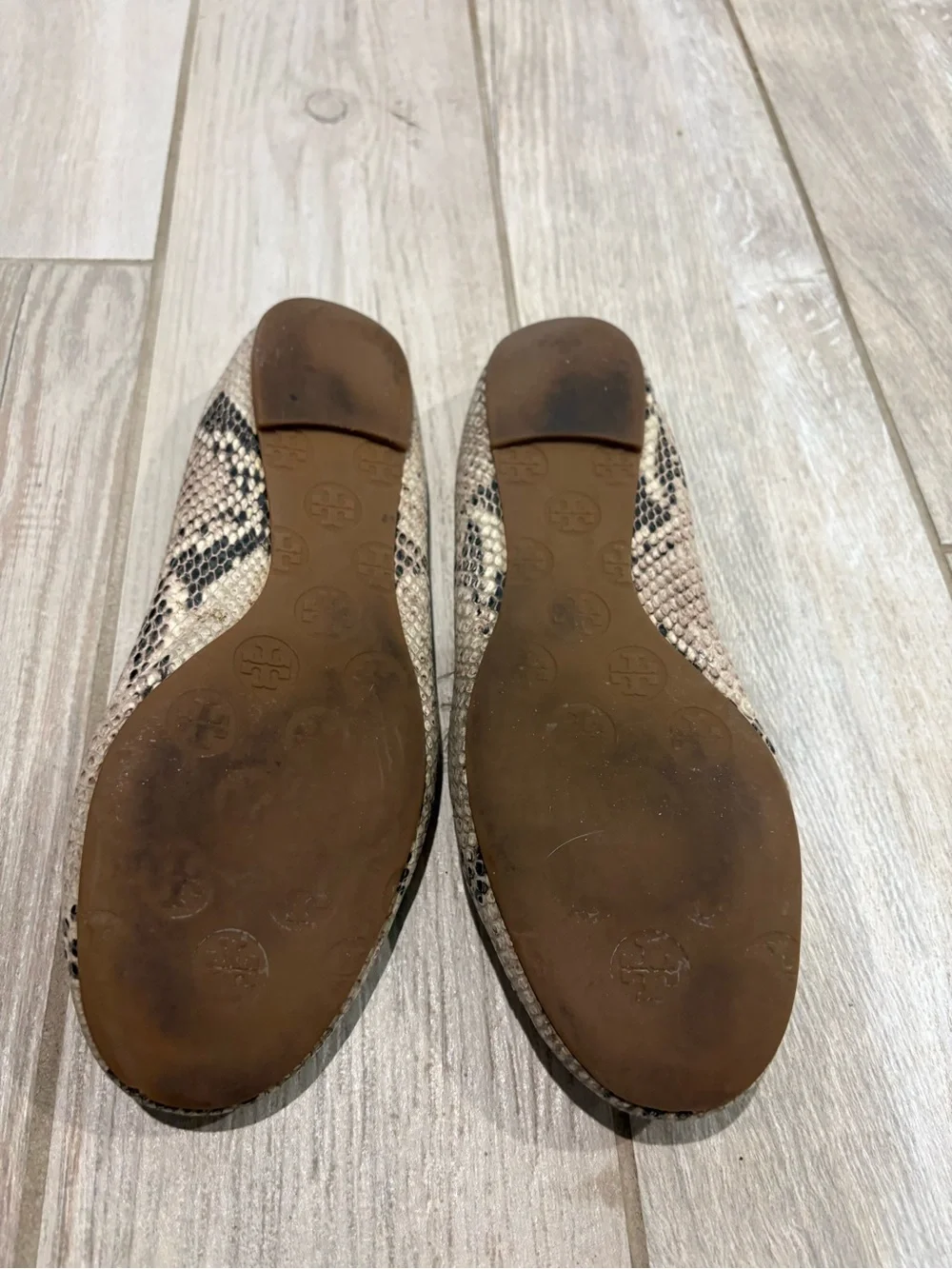 Tory Burch Snake-Print Reva Ballet Flats in Beige/Taupe with Gold Logo